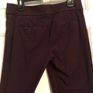 LOFT Plum Slacks